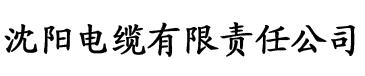 九九九香蕉视频电缆厂logo